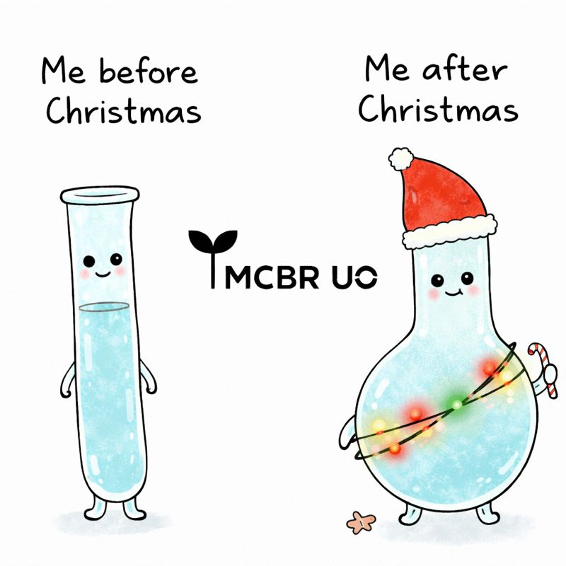 8e958708-6dea-4ebc-bb5d-c61e77643372-md